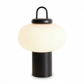 Настольная лампа декоративная Freya Take FR6175TL-L10B в Александровском - alexsandrovskoe.mebel24.online | фото
