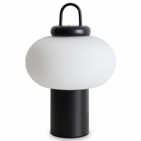 Настольная лампа декоративная Freya Take FR6175TL-L10B в Александровском - alexsandrovskoe.mebel24.online | фото 2