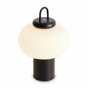 Настольная лампа декоративная Freya Take FR6175TL-L10B в Александровском - alexsandrovskoe.mebel24.online | фото 3