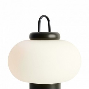 Настольная лампа декоративная Freya Take FR6175TL-L10B в Александровском - alexsandrovskoe.mebel24.online | фото 5