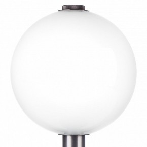 Настольная лампа декоративная Lightstar Colore 805916 в Александровском - alexsandrovskoe.mebel24.online | фото 6