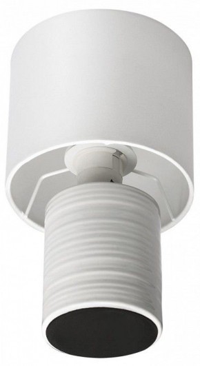 Настольная лампа декоративная Lumion Tuala 8144/1Т в Александровском - alexsandrovskoe.mebel24.online | фото 3