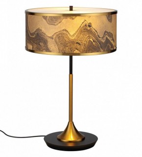 Настольная лампа декоративная Odeon Light Bergi 5064/2T в Александровском - alexsandrovskoe.mebel24.online | фото