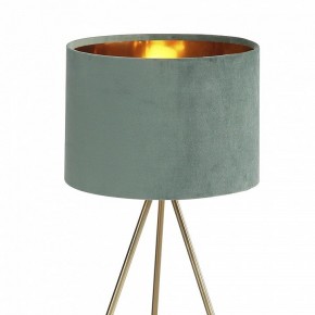Настольная лампа декоративная ST-Luce FUEGO SL6242.704.01 в Александровском - alexsandrovskoe.mebel24.online | фото 5