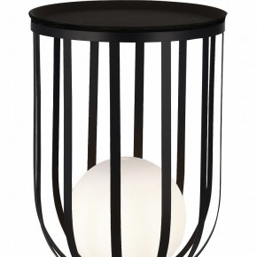 Настольная лампа декоративная ST-Luce Nordic SL6129.404.01 в Александровском - alexsandrovskoe.mebel24.online | фото 5