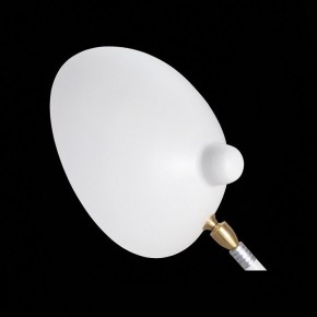 Настольная лампа декоративная ST-Luce Spruzzo SL305.504.01 в Александровском - alexsandrovskoe.mebel24.online | фото 10