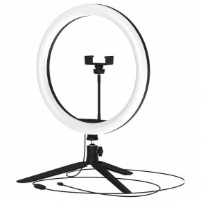 Настольная лампа кольцевая Gauss Ring Light RL003 в Александровском - alexsandrovskoe.mebel24.online | фото