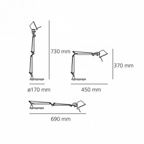 Настольная лампа офисная Artemide  0011860A в Александровском - alexsandrovskoe.mebel24.online | фото