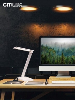 Настольная лампа офисная Citilux Ньютон CL803080 в Александровском - alexsandrovskoe.mebel24.online | фото 10