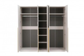 НИКОЛЬ 25 Шкаф 5-ти створчатый в Александровском - alexsandrovskoe.mebel24.online | фото 3