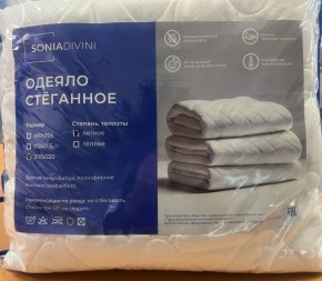 Одеяло Стеганное (легкое) в Александровском - alexsandrovskoe.mebel24.online | фото