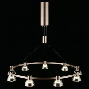 Подвесная люстра Aployt Rezeda APL.788.03.09 в Александровском - alexsandrovskoe.mebel24.online | фото 12