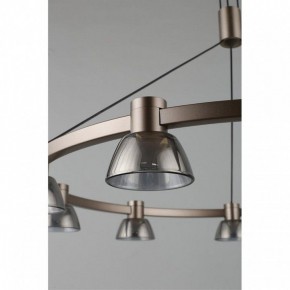 Подвесная люстра Aployt Rezeda APL.788.03.09 в Александровском - alexsandrovskoe.mebel24.online | фото 14