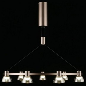 Подвесная люстра Aployt Rezeda APL.788.03.09 в Александровском - alexsandrovskoe.mebel24.online | фото 7