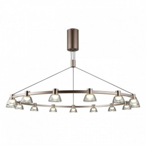 Подвесная люстра Aployt Rezeda APL.788.03.15 в Александровском - alexsandrovskoe.mebel24.online | фото 2