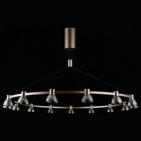 Подвесная люстра Aployt Rezeda APL.788.03.15 в Александровском - alexsandrovskoe.mebel24.online | фото 7