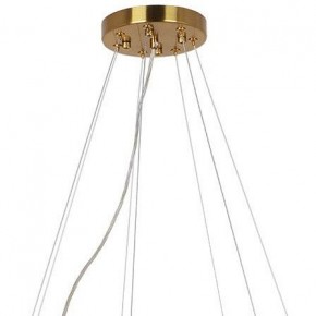 Подвесная люстра Arte Lamp Alya A1053SP-14PB в Александровском - alexsandrovskoe.mebel24.online | фото 3