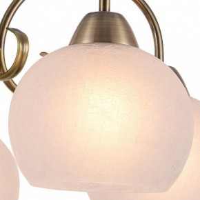 Подвесная люстра Arte Lamp Margo A9317LM-5AB в Александровском - alexsandrovskoe.mebel24.online | фото 2