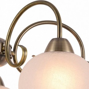 Подвесная люстра Arte Lamp Margo A9317LM-5AB в Александровском - alexsandrovskoe.mebel24.online | фото 3