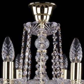 Подвесная люстра Bohemia Ivele Crystal 1402 1402/8/195/G/tube в Александровском - alexsandrovskoe.mebel24.online | фото 4