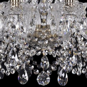 Подвесная люстра Bohemia Ivele Crystal 1411 1411/10/195/Pa в Александровском - alexsandrovskoe.mebel24.online | фото 3