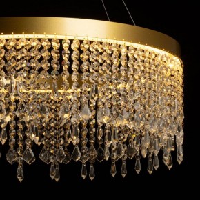 Подвесная люстра De City Арман 462010801 в Александровском - alexsandrovskoe.mebel24.online | фото 7