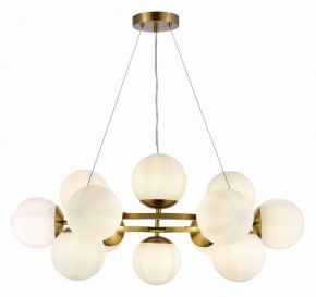 Подвесная люстра EVOLUCE Fratta SLE1191-203-12 в Александровском - alexsandrovskoe.mebel24.online | фото 3