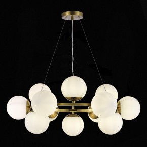 Подвесная люстра EVOLUCE Fratta SLE1191-203-12 в Александровском - alexsandrovskoe.mebel24.online | фото 4