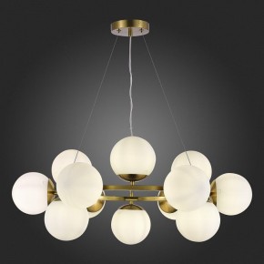Подвесная люстра EVOLUCE Fratta SLE1191-203-12 в Александровском - alexsandrovskoe.mebel24.online | фото 5