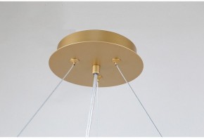 Подвесная люстра Favourite Ginkoa 4080-10P в Александровском - alexsandrovskoe.mebel24.online | фото 9