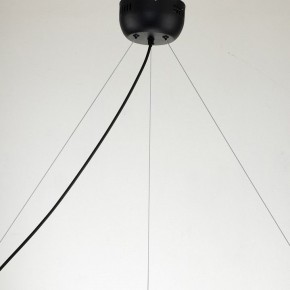 Подвесная люстра Favourite Light point 2997-9P в Александровском - alexsandrovskoe.mebel24.online | фото 11