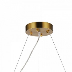 Подвесная люстра Favourite Magnitudo 2206-12P в Александровском - alexsandrovskoe.mebel24.online | фото 7