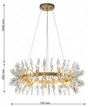 Подвесная люстра Favourite Rays 4058-14P в Александровском - alexsandrovskoe.mebel24.online | фото 7