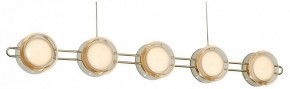 Подвесная люстра Favourite Yo-yo 4334-10P в Александровском - alexsandrovskoe.mebel24.online | фото