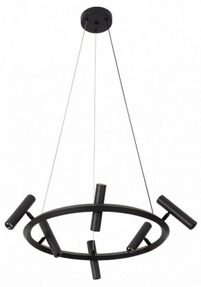 Подвесная люстра Kink Light Верония 07613-6A,19 в Александровском - alexsandrovskoe.mebel24.online | фото 2
