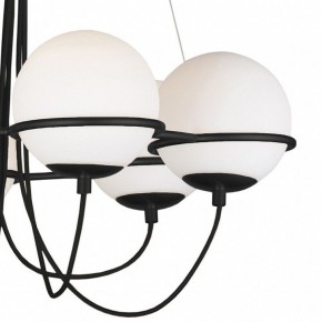 Подвесная люстра Lightstar Globo 803267 в Александровском - alexsandrovskoe.mebel24.online | фото 5