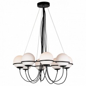 Подвесная люстра Lightstar Globo 803287 в Александровском - alexsandrovskoe.mebel24.online | фото 3