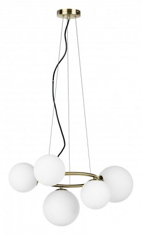 Подвесная люстра Lightstar Globo 815051 в Александровском - alexsandrovskoe.mebel24.online | фото 2