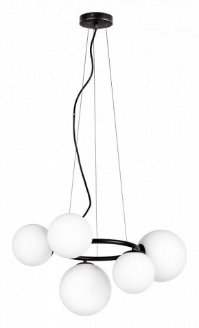 Подвесная люстра Lightstar Globo 815057 в Александровском - alexsandrovskoe.mebel24.online | фото 2