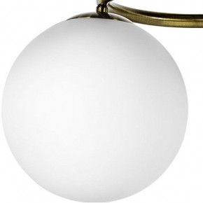 Подвесная люстра Lightstar Globo 815091 в Александровском - alexsandrovskoe.mebel24.online | фото 3