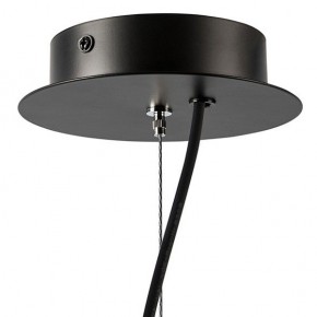Подвесная люстра Lightstar Ragno 733247 в Александровском - alexsandrovskoe.mebel24.online | фото 9