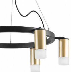Подвесная люстра Lightstar Rullo LR0164061 в Александровском - alexsandrovskoe.mebel24.online | фото 4