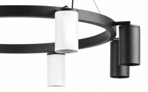 Подвесная люстра Lightstar Rullo LR018364374 в Александровском - alexsandrovskoe.mebel24.online | фото 5
