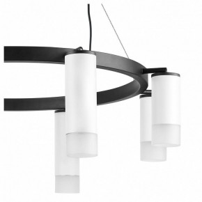 Подвесная люстра Lightstar Rullo LR0188643641 в Александровском - alexsandrovskoe.mebel24.online | фото 5