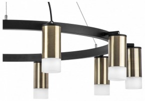 Подвесная люстра Lightstar Rullo LR0203101 в Александровском - alexsandrovskoe.mebel24.online | фото 5