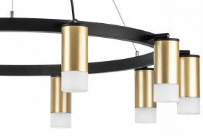 Подвесная люстра Lightstar Rullo LR0204001 в Александровском - alexsandrovskoe.mebel24.online | фото 5