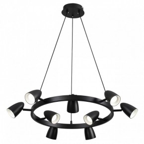 Подвесная люстра Lumion Ilmina 8237/9 в Александровском - alexsandrovskoe.mebel24.online | фото 2