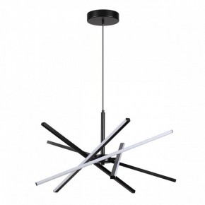 Подвесная люстра Lumion Parker 6563/60L в Александровском - alexsandrovskoe.mebel24.online | фото 2