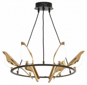 Подвесная люстра Lussole Jasper LSP-8641 в Александровском - alexsandrovskoe.mebel24.online | фото 4