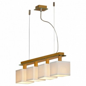Подвесная люстра Lussole Montone LSF-2503-04 в Александровском - alexsandrovskoe.mebel24.online | фото 2